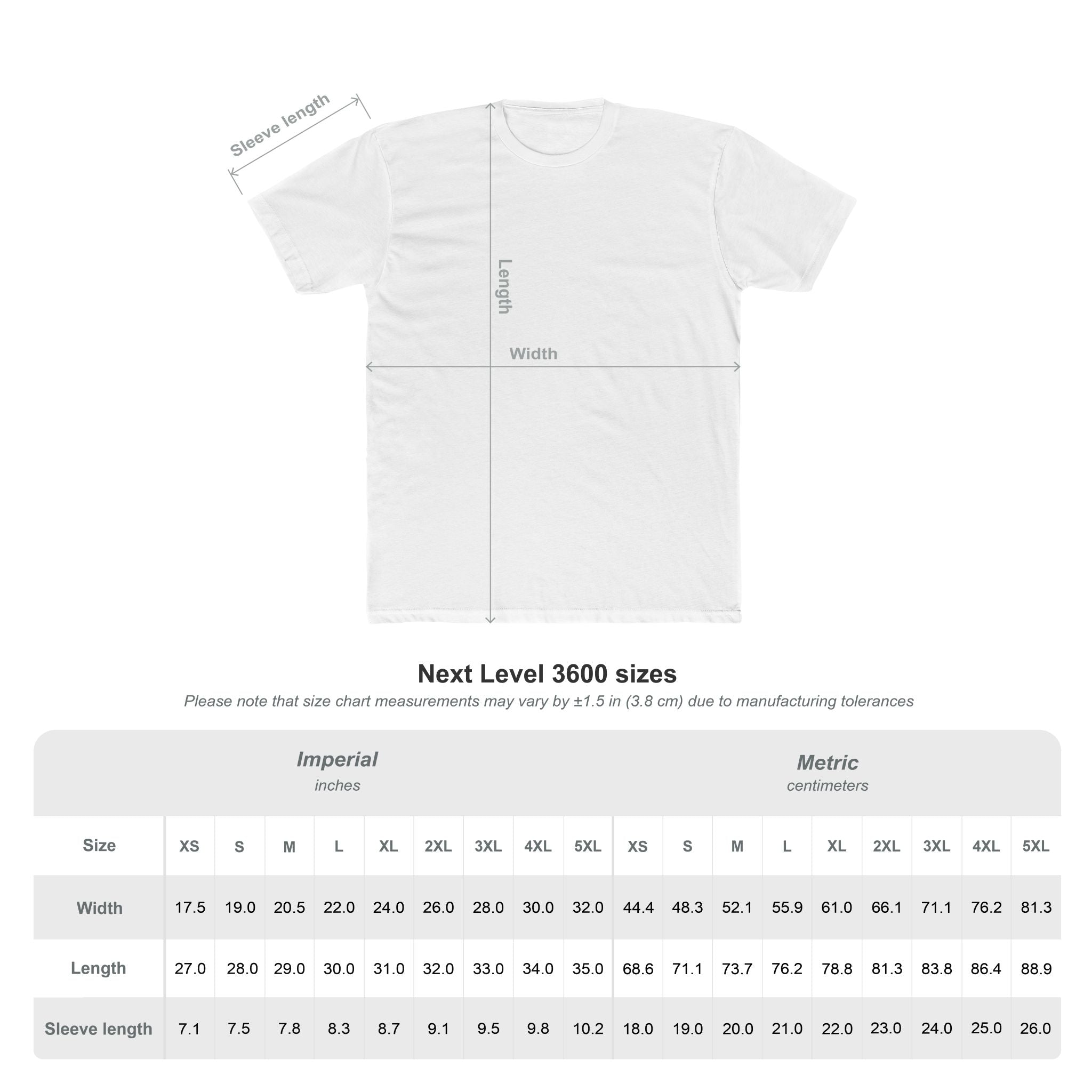Warning Reckless And Nothing To Lose T-Shirt Dark Humor Shirt Sarcastic Graphic Tee Unisex